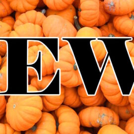 October 6, 2023 – Pumpkin Spiced Cozies!