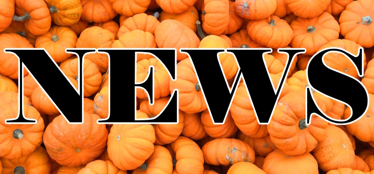 October 6, 2023 – Pumpkin Spiced Cozies!